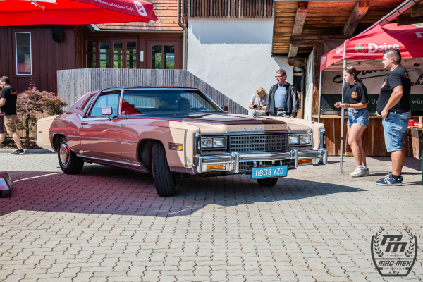 dsc-549738F206A7-6E2B-873A-4D46-7092FD7C7AA5.jpg