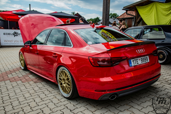 td-2026-treffen-dsc-59904C1F2486-8BCE-DCDA-D4D9-EEB82D293189.jpg