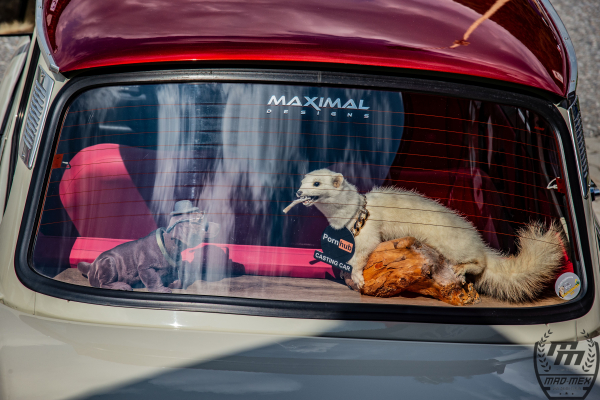 td-2026-treffen-dsc-61522E9B6309-80B4-F070-F965-37BA0049D58E.jpg